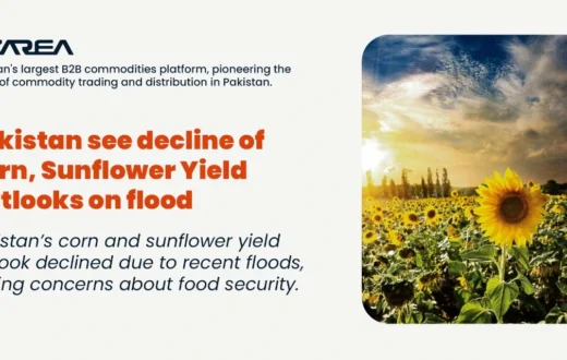 Pakistan’s corn and sunflower yield outlook declined. Flood impact on agriculture raises concerns about food security.