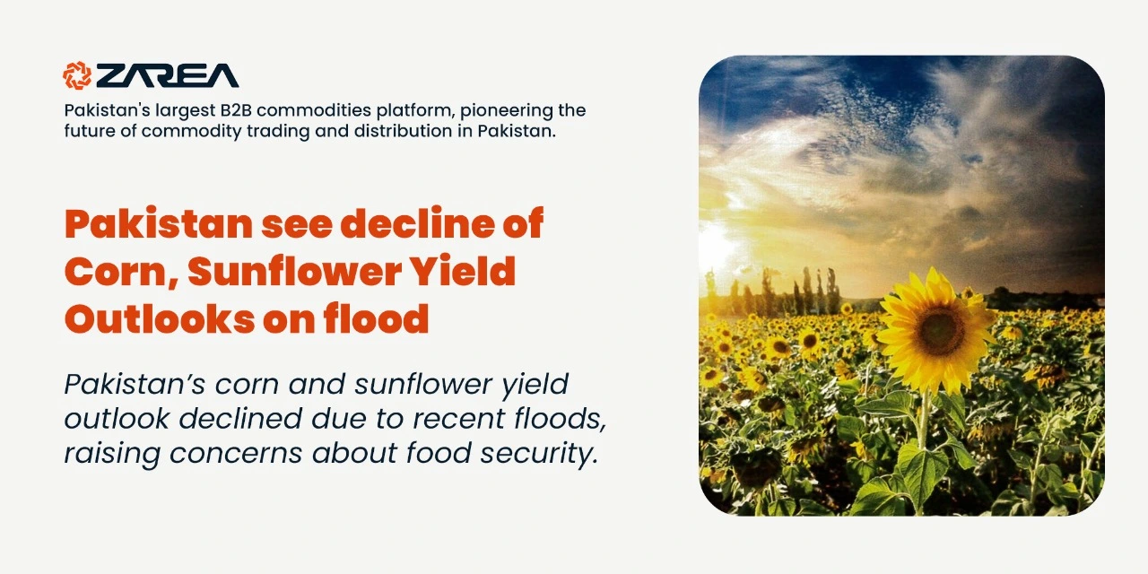 Pakistan’s corn and sunflower yield outlook declined. Flood impact on agriculture raises concerns about food security.