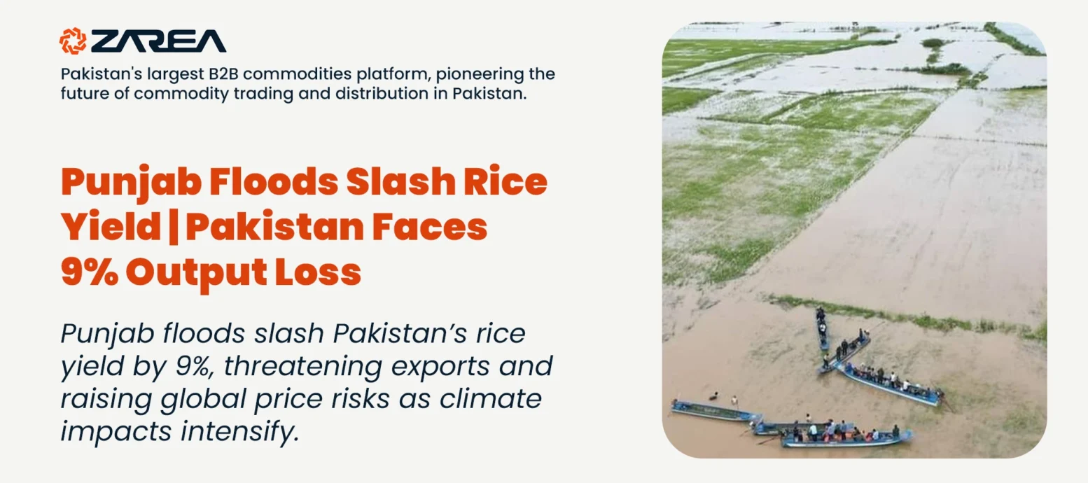 Punjab floods slash Pakistan’s rice yield by 9%, threatening exports and raising global price risks as climate impacts intensify.