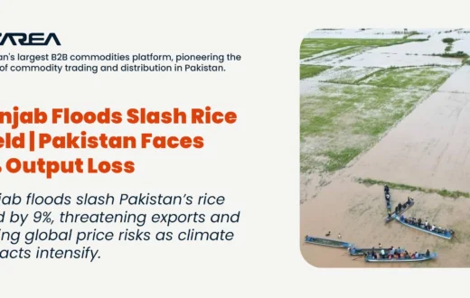 Punjab floods slash Pakistan’s rice yield by 9%, threatening exports and raising global price risks as climate impacts intensify.