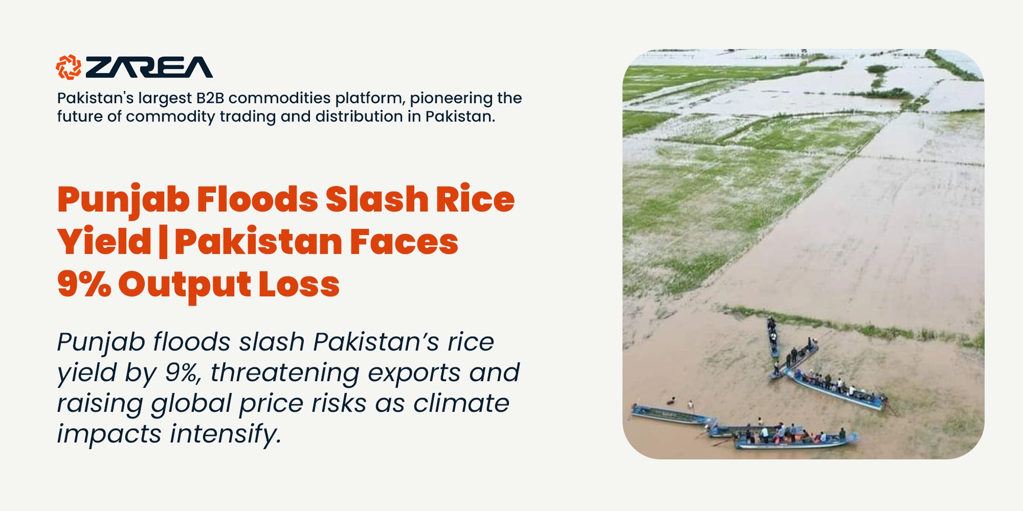 Punjab floods slash Pakistan’s rice yield by 9%, threatening exports and raising global price risks as climate impacts intensify.