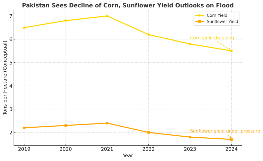 Production of corn, a major grain used for animal feed and human consumption, is suffering.
