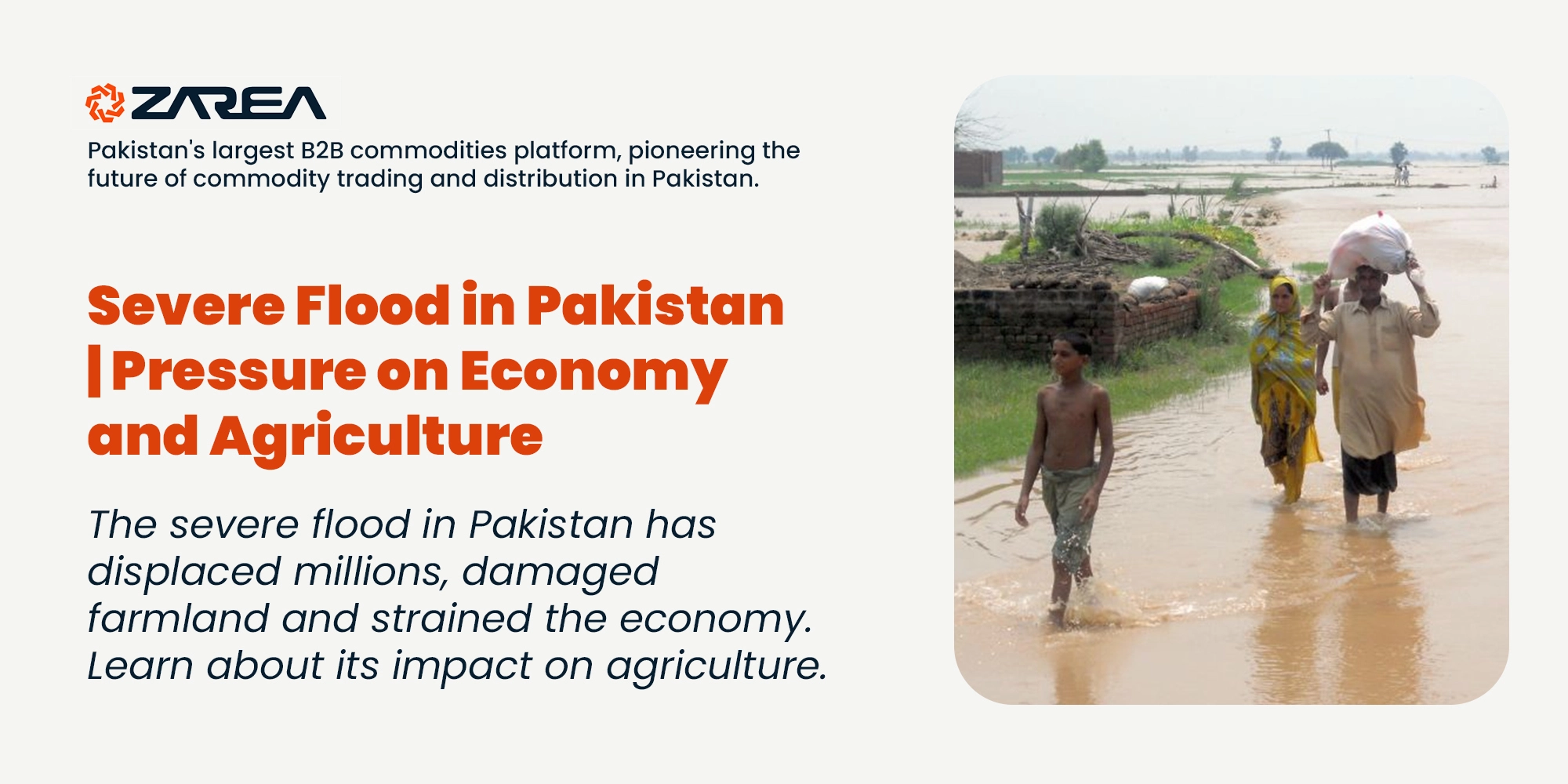 The severe flood in Pakistan has displaced millions, damaged farmland and strained the economy. Learn about its impact on agriculture.